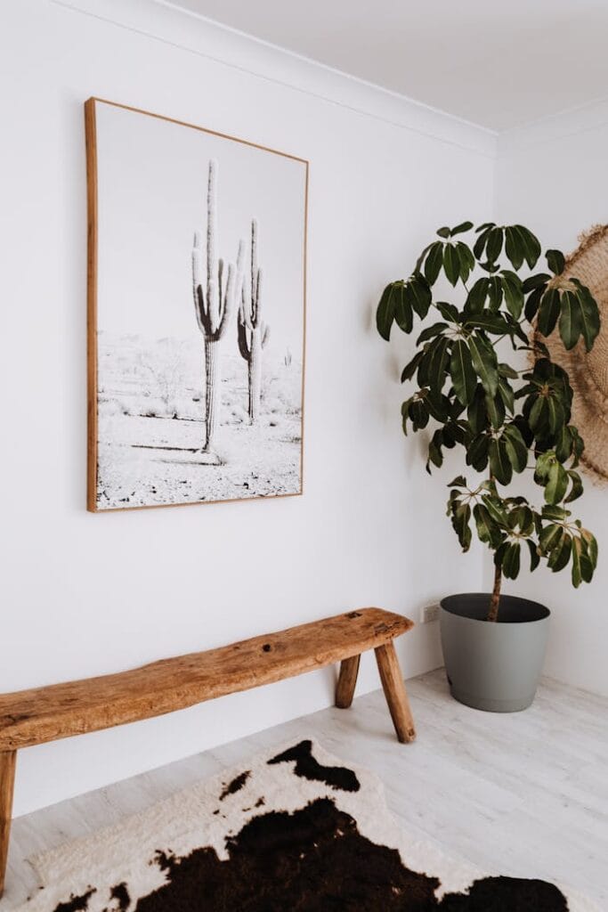 pexels-photo-4993081 A stylish minimalist interior featuring wooden bench, potted plant, and cactus artwork.